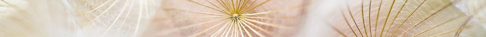 imagem de fundo de rodapé